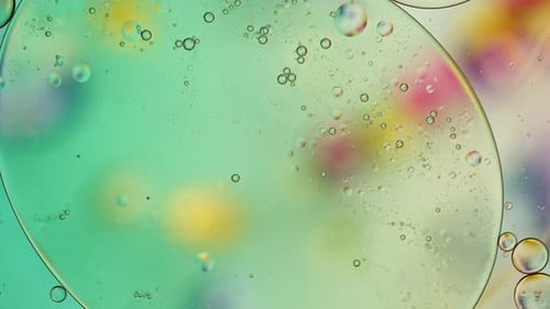 Abstract Colorful Food Oil Drops Bubbles 193