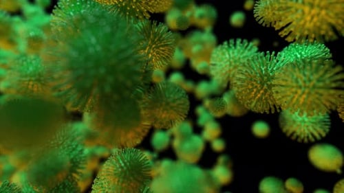 Abstract Microscopic Organisms Moving Fluidly in 3D Space