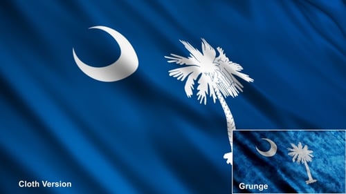 South Carolina State Flag Waving Loop with Grunge Version