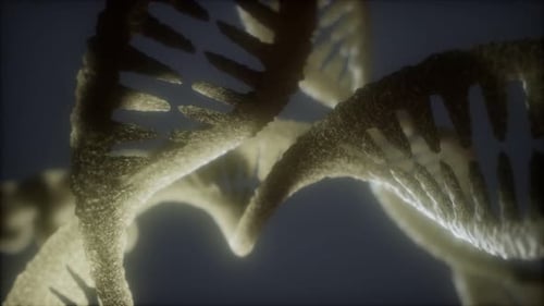 Loop Double Helical Structure of Dna Strand Close-up Animation