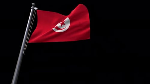 Realistic Tunisian National Flag Waving Animation