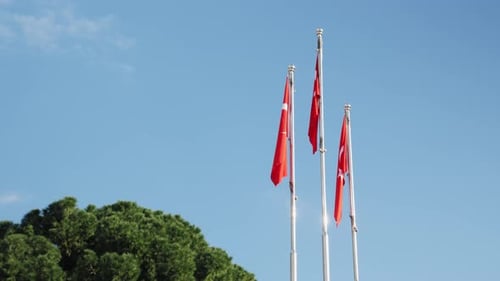 Turkish Flags Waving Proudly on a Sunny Day