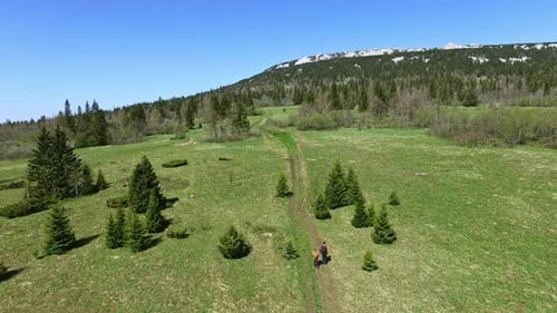 Aerial View Family Walking on Scenic Mountain Path