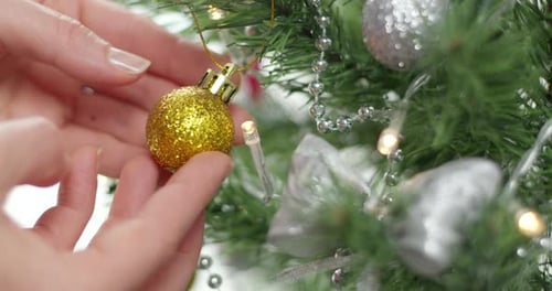 Christmas toy in hands decorating a branch of a Christmas tree