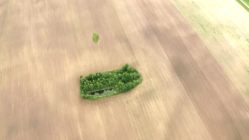 Aerial Top View Of Agricultural Landscape With Growing Forest Trees Island