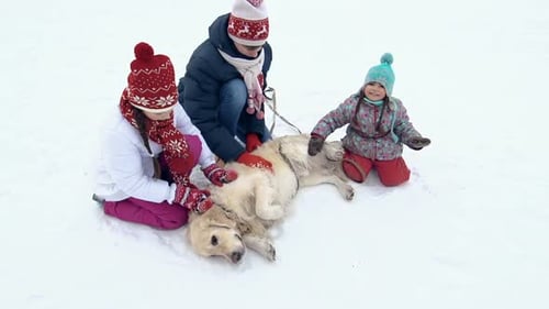 Winter Friendship