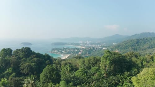 Above the Tall Forest Trees By the Beautiful Beach in Phuket Thailand