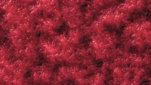 Abstract Red Biological Fluid Movement Background Loop