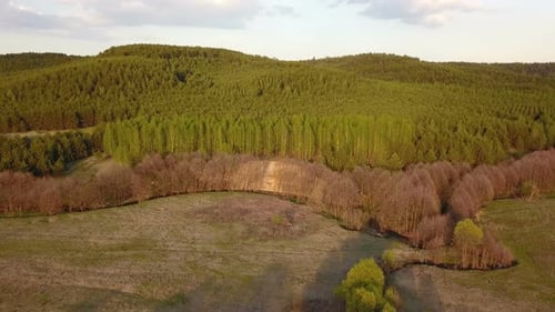 Forest River Near Hills At Sunset