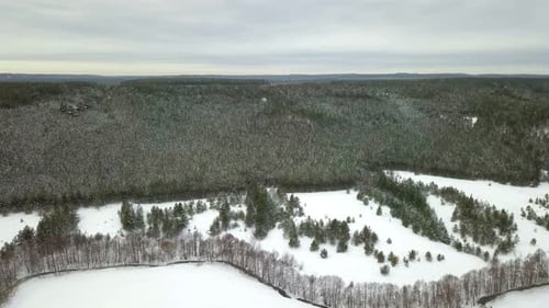 Rivière Winter Nature