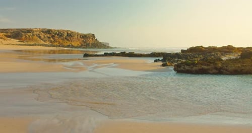 Rocky Shore with Green Seaweed on Stones Low Tide Golden Sandy Beach