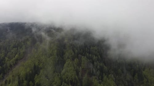 Aerial view of evergreen Jelovica forest with misty treetops, Slovenia