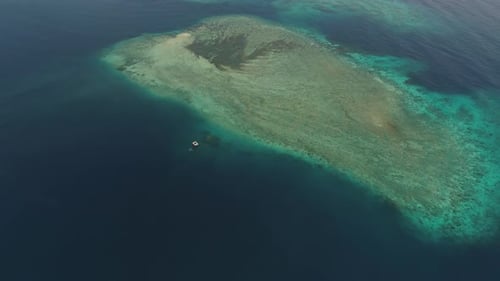 Arrecife de coral marino en el mar