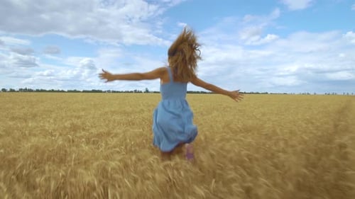 Rear View of Young Carefree Woman in Dress. She Run in Through Field Touching with Hand Wheat Ears