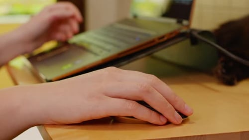 Freelancer Woman Sitting at Her Desk