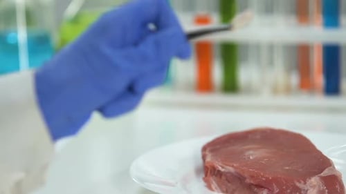 Travailleur de laboratoire tenant la pilule près de la viande, ajoutant des antibiotiques pour une meilleure conservation