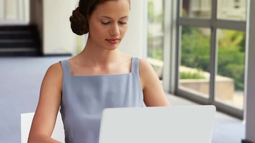 Woman Working at Laptop in Modern Office