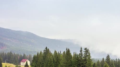 Morning Mist Over the Valley Among the Mountains in the Sunlight. Fog and Beautiful Nature of