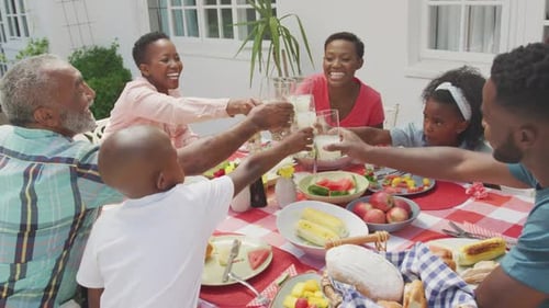 Family Toasting Drinks Together Outdoors at Meal