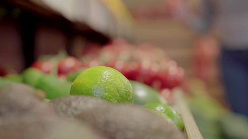 Unrecognizable Woman Taking Green Citrus Fruit From Shelf in Grocery. Young Caucasian Girl Choosing