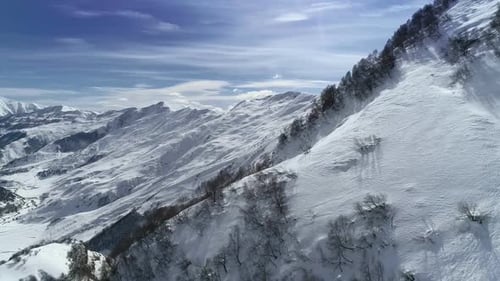 Winter Landscape