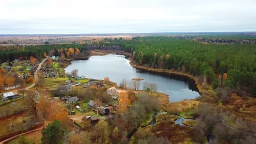 Autumn In The Forest 35