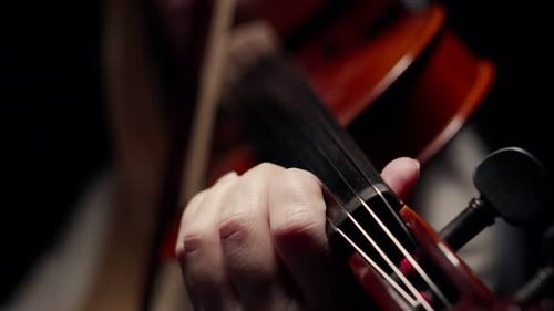 Close-up of the violin neck in hands of a woman violinist playing with a bow on strings