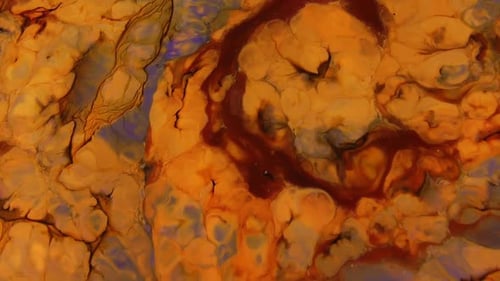 Abstract Fluid Art Motion Background