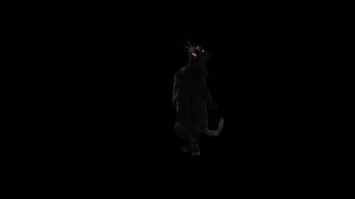 Animated Black Panther Roaring and Posing on Hind Legs