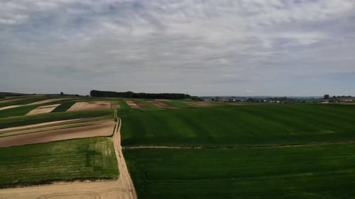Aerial View of Green Farmland and Dirt Road