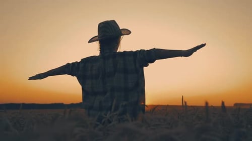 Happy Girl Child Plays Pilot on Wheat Field at Sunset