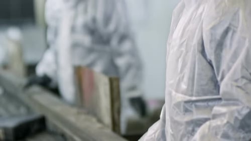 Workers Sort Waste on Recycling Plant Conveyor Belt