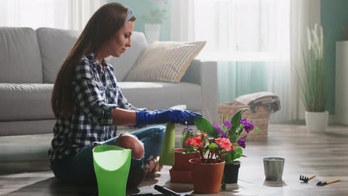 Woman Misting Colorful Potted Flowers at Home