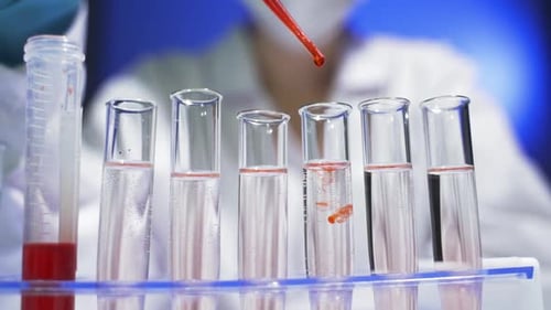 Female Scientist Laboratory Assistant Doctor Examines a Blood Sample in the Laboratory