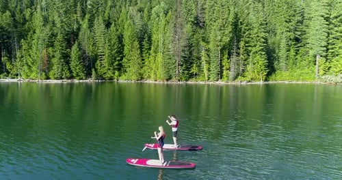 Couple rowing a stand up paddle board in the river 4k