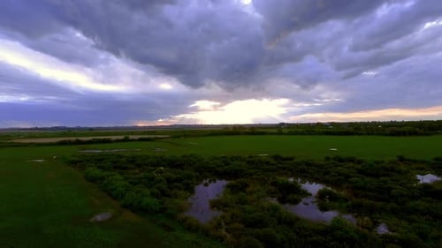 Wetlands surrounded by cultivated farmland