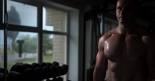 A man in a gym with a beautiful torso does an exercise for biceps lifting dumbbells