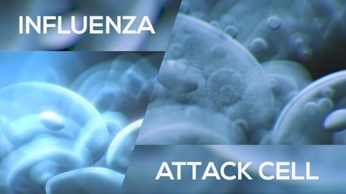 Influenza
