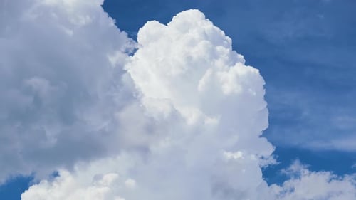 Zeitraffer weißer geschwollener Cumuluswolken, die sich am blauen Sommerhimmel bilden