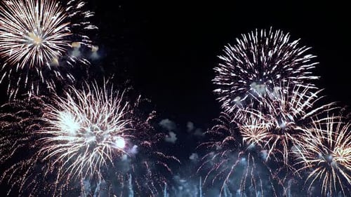 Vibrant Fireworks Explode Against the Night Sky