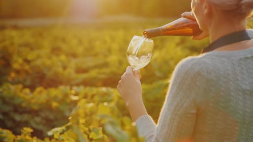 Frau gießt Weißwein in ein Glas. Private Verkostung im Weingut