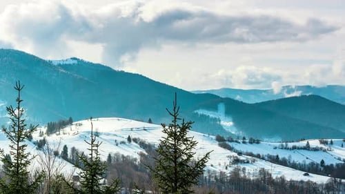 Winter Landscape
