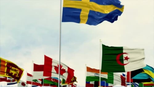 Diverse National Flags Waving on Flagpoles Against Sky