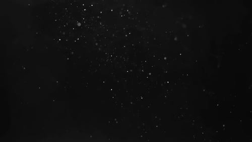 Floating White Particles Against Black Backdrop