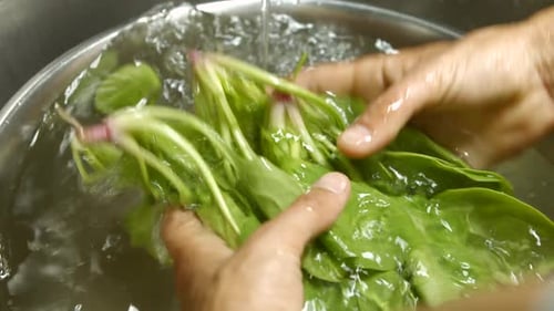 Hands Washing Fresh Vegetables Under Running Water