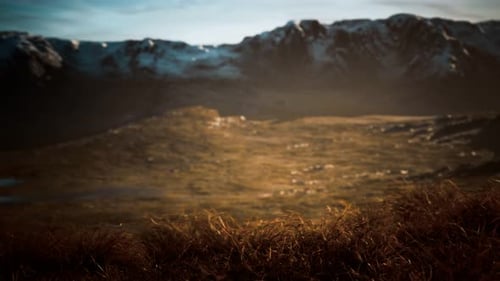 Dry Grass and Snow Covered Mountains in Alaska