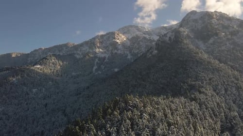 Winterschneeberge mit Bäumen