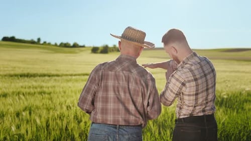 The Old and Young Farmer are Standing By the Field and Talking Emotionally