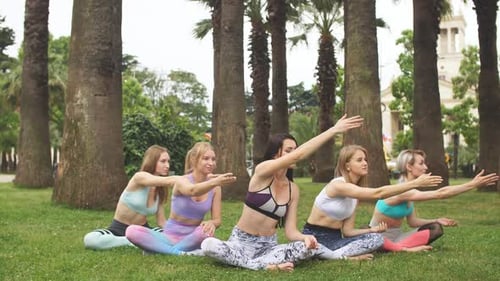 Women Exercising Together Outdoors in Tropical Park