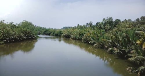 Drohne fliegt über einen erstaunlich breiten, ruhigen Fluss, der im Regenwalddschungel fließt